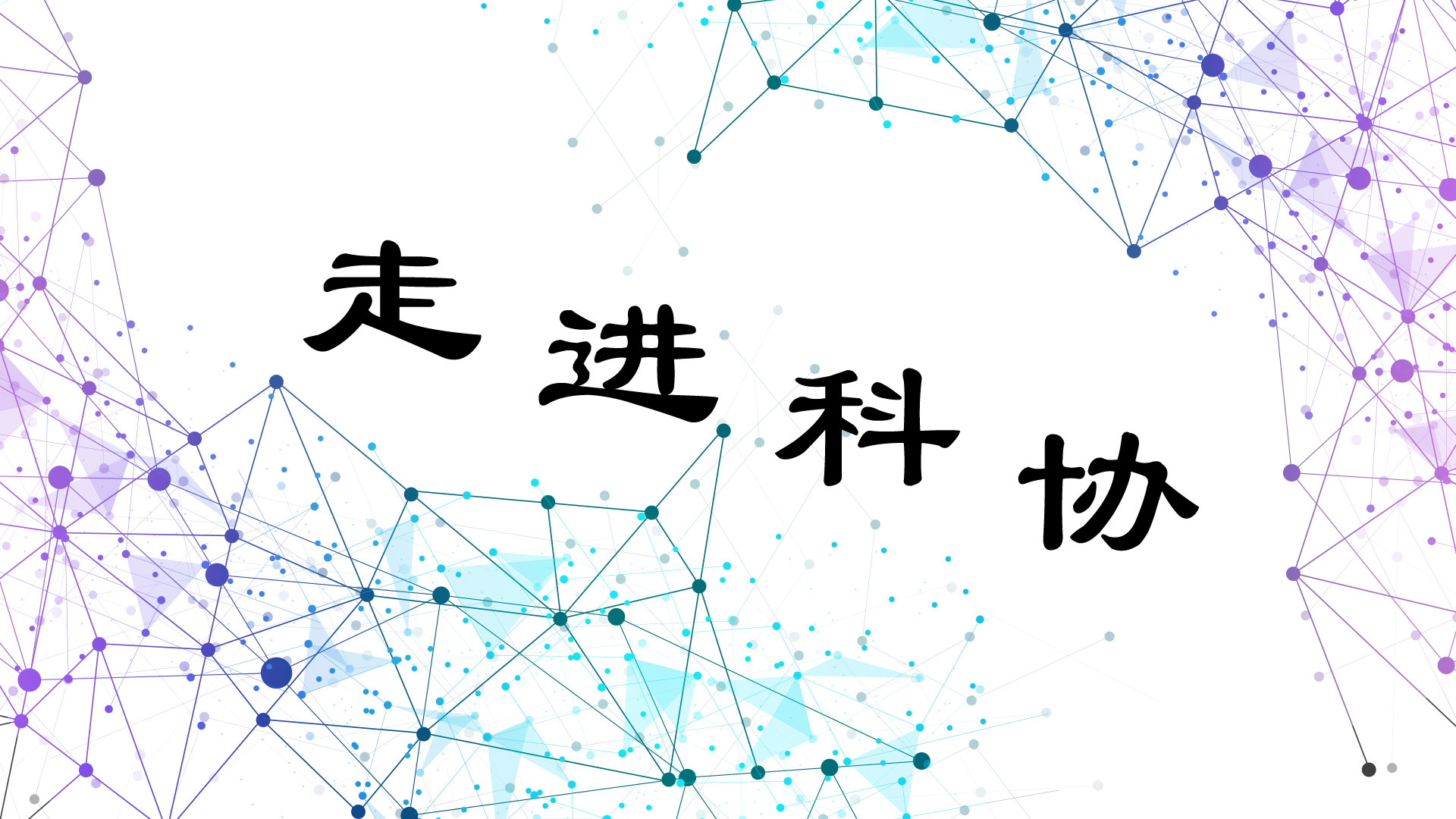 图像无法显示