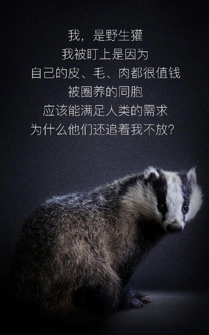【世界野生动植物日】让我们一起做自然的朋友