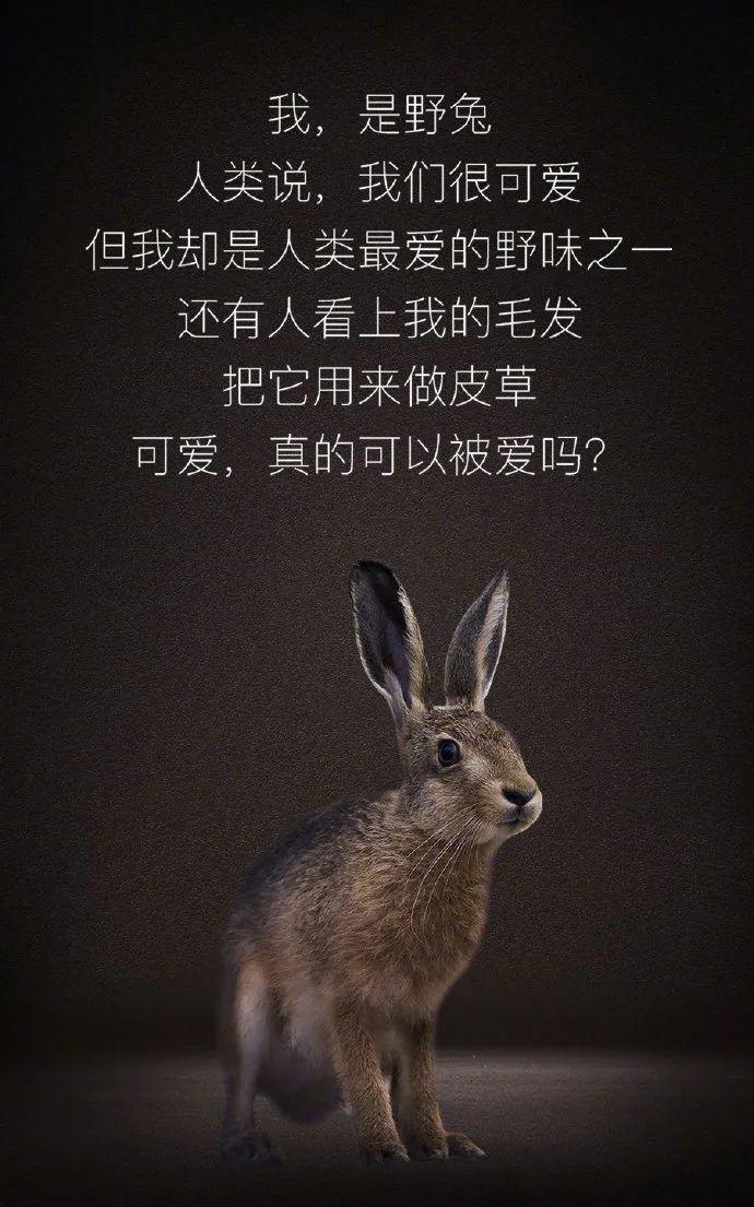 【世界野生动植物日】让我们一起做自然的朋友