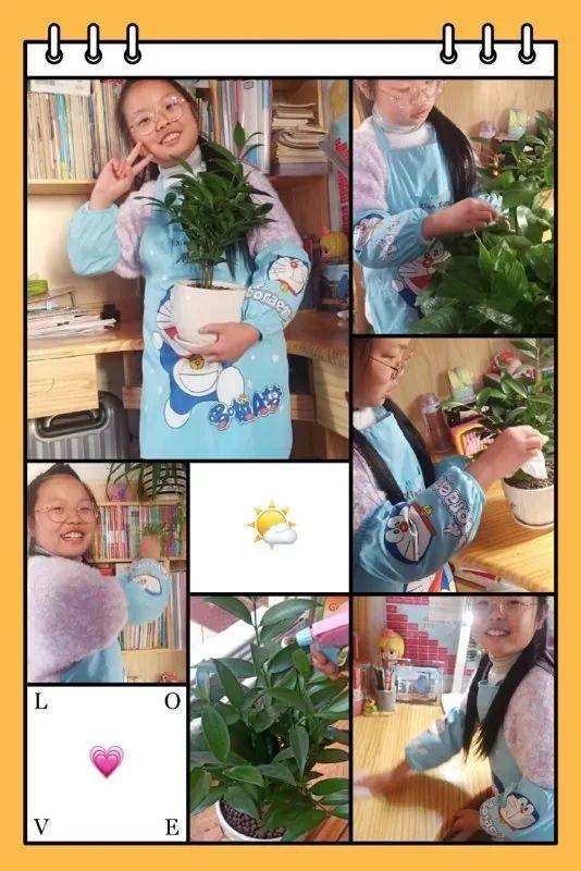 【线上学习分享】居家学习好能手——五华区外国语实验小学三年级2020年春季第三周线上学习