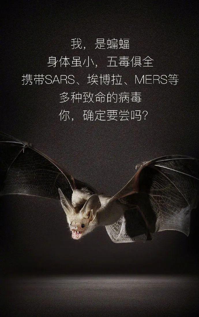 【世界野生动植物日】让我们一起做自然的朋友
