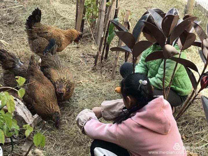 【线上教研活动】同心同愿 同抗疫情 ——五华外小“停课不停学”教师线上教研活动(第三期) 【线上教研活动】同心同愿 同抗疫情 ——五华外小“停课不停学”教师线上教研活动(第三期)