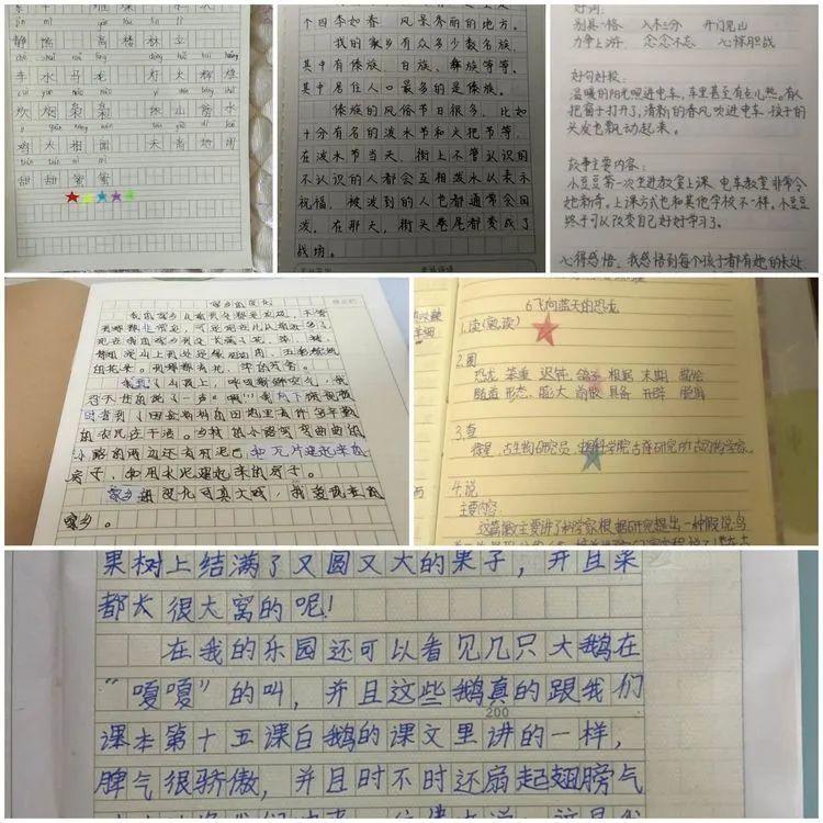 【线上学习分享】百花初放待学子，无限春光在线上 ——五华外小四年级智慧课堂第三周总结