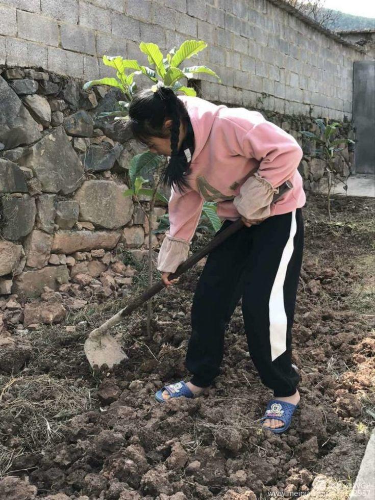【线上教研活动】同心同愿 同抗疫情 ——五华外小“停课不停学”教师线上教研活动(第三期) 【线上教研活动】同心同愿 同抗疫情 ——五华外小“停课不停学”教师线上教研活动(第三期)