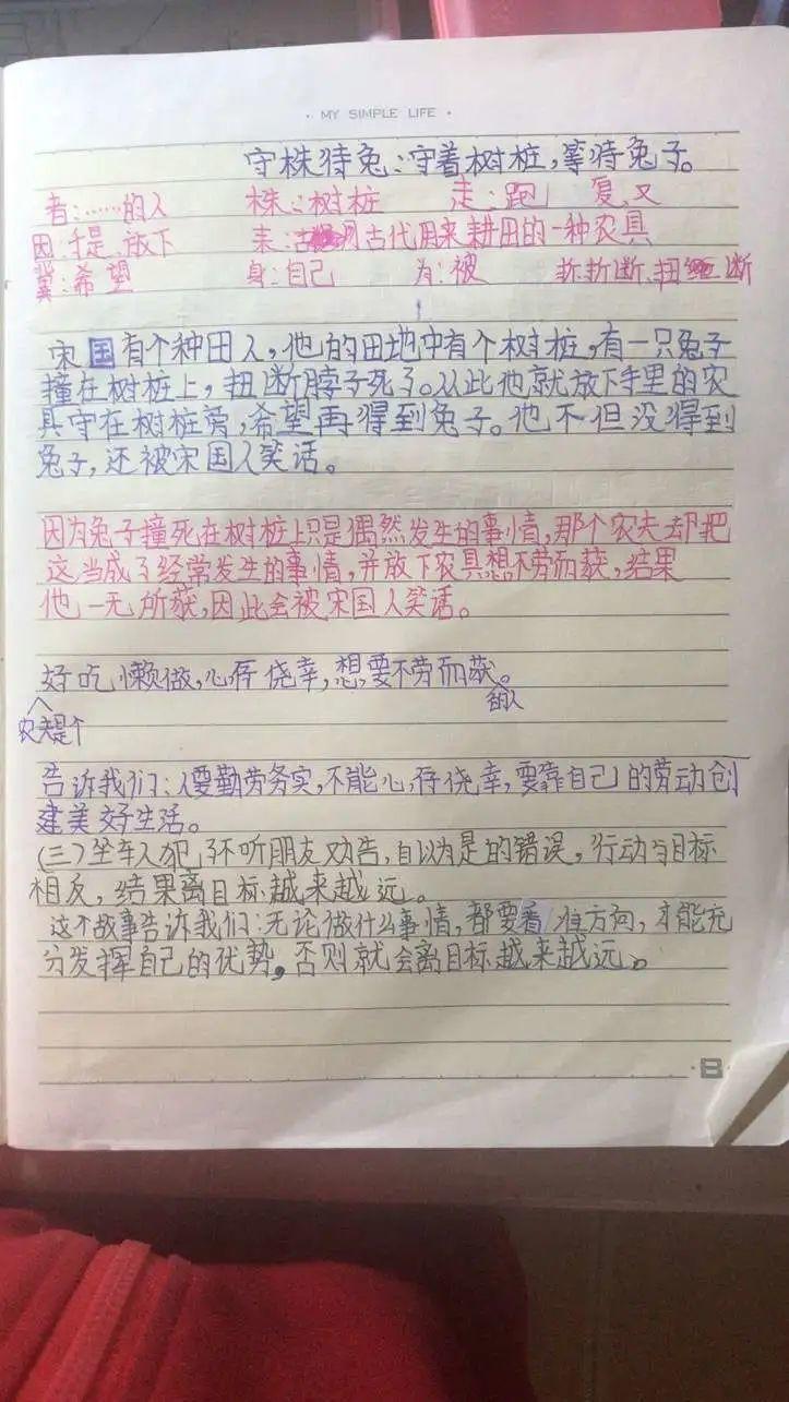 【线上学习分享】五华外小三年级与时间赛跑“停课不停学”第二周教学活动