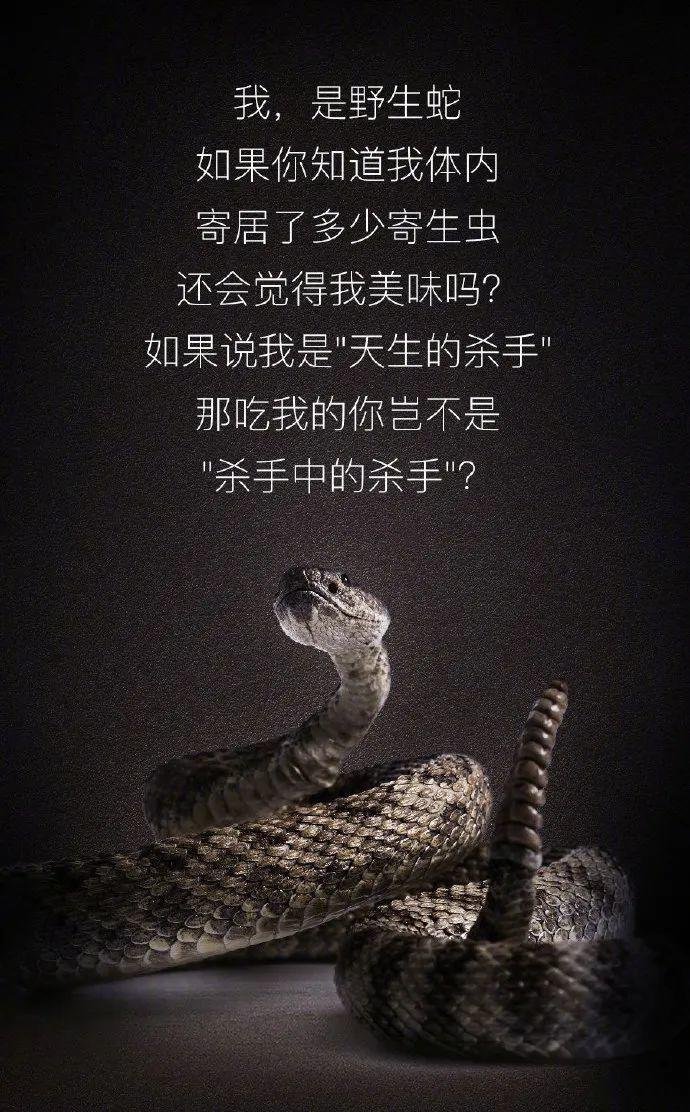 【世界野生动植物日】让我们一起做自然的朋友