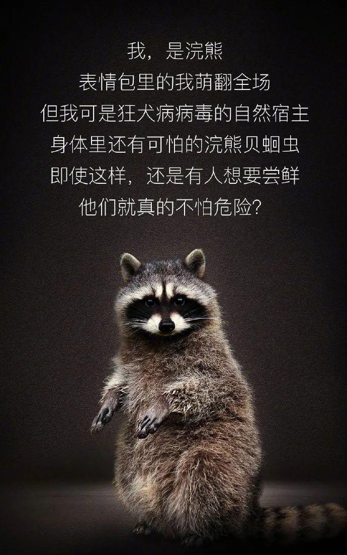 【世界野生动植物日】让我们一起做自然的朋友