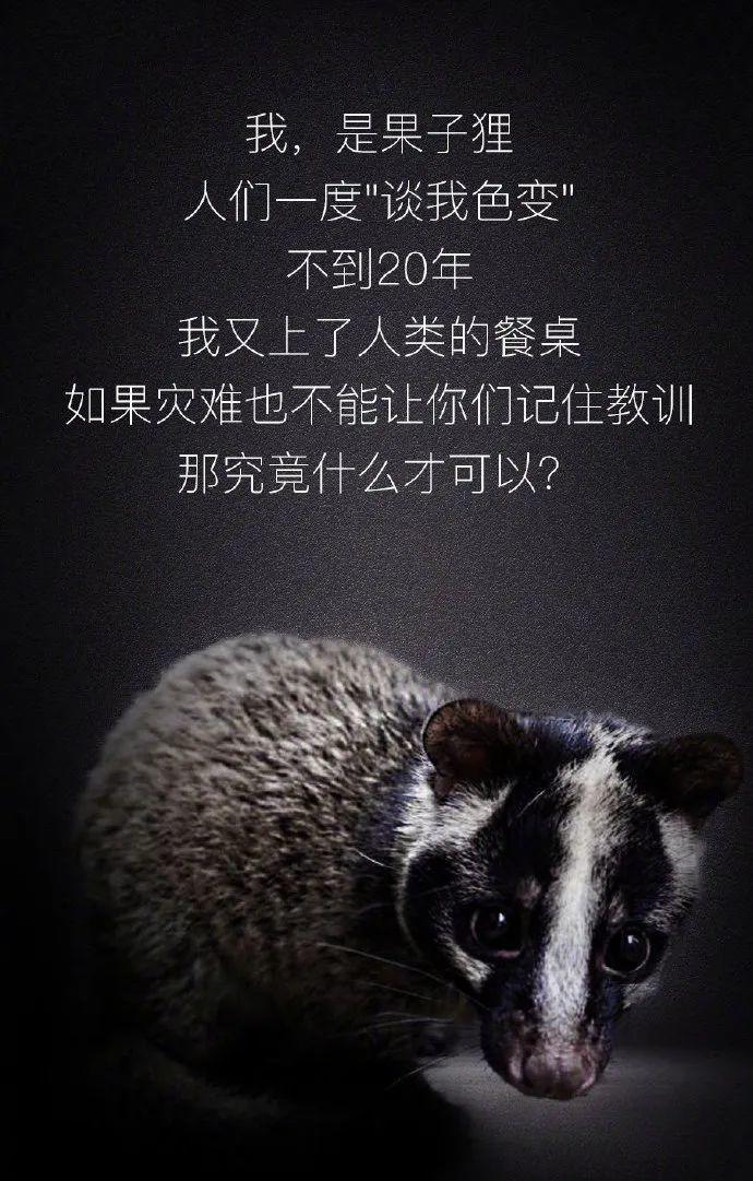 【世界野生动植物日】让我们一起做自然的朋友