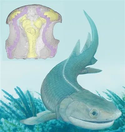 【科技热点】星际介质、托马斯·杨方程、新转换器、鱼类脑部、琥珀、老鼠