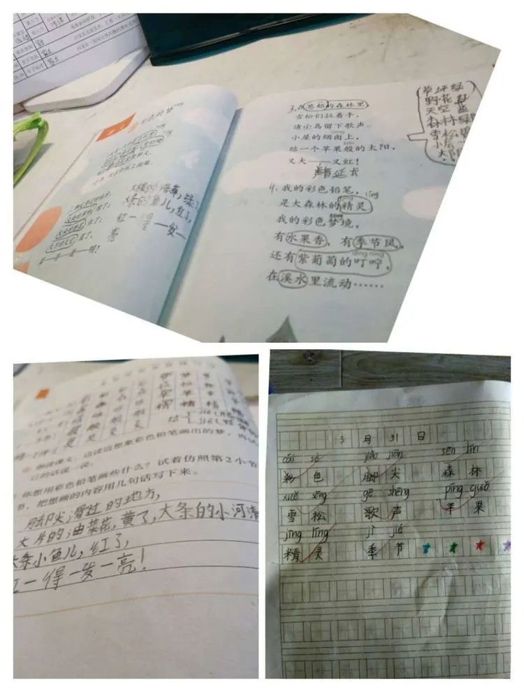 【德育课堂】“停课不停学”,师生成长不停歇 【德育课堂】“停课不停学”,师生成长不停歇