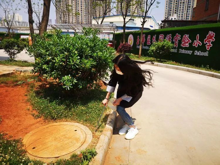 【德育课堂】“停课不停学”,师生成长不停歇 【德育课堂】“停课不停学”,师生成长不停歇
