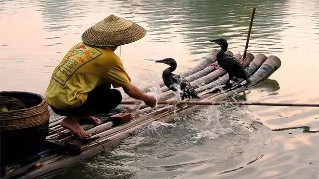 【热门推荐】6部高分纪录片，带孩子认识祖国有多美！（内附观影链接）