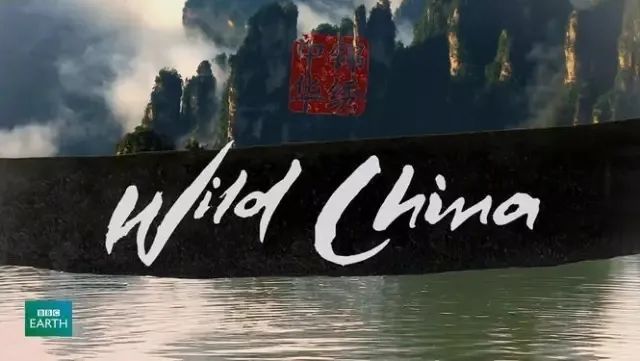 【热门推荐】6部高分纪录片，带孩子认识祖国有多美！（内附观影链接）