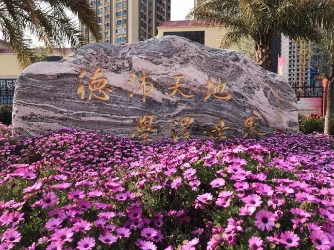 【线上学习分享】疫情当前,学不止步——五华外小二年级“停课不停学”一直在行动 【线上学习分享】疫情当前,学不止步——五华外小二年级“停课不停学”一直在行动