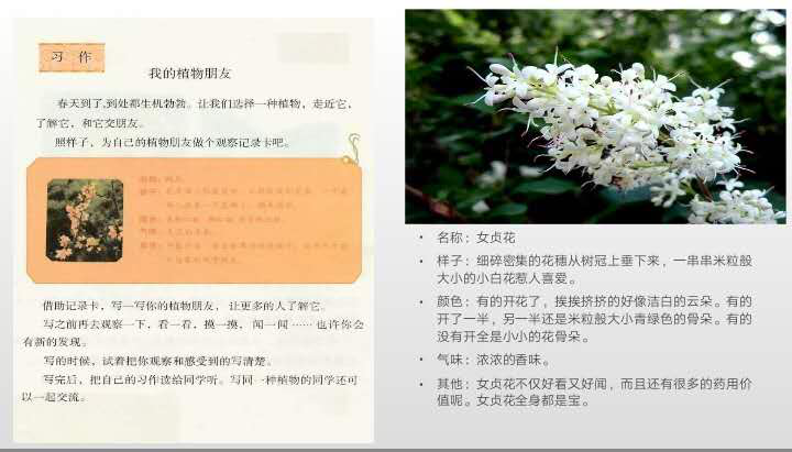 【语文教研简讯】五华外小语文教研工作简讯2020年第10期