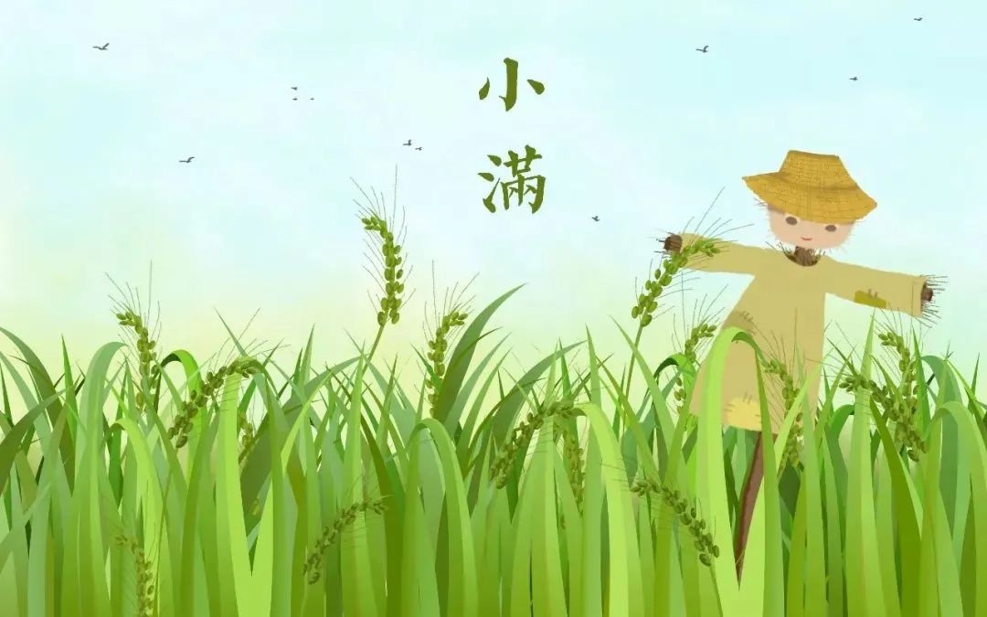 【特别关注】今日小满！原来节气还教做人的道理，快讲给孩子