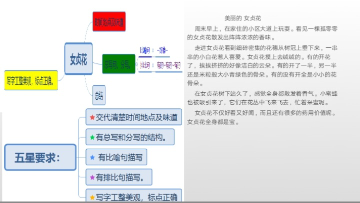 【语文教研简讯】五华外小语文教研工作简讯2020年第10期