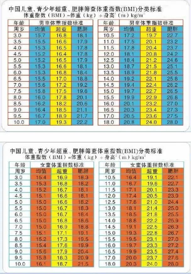 【特别关注】肥胖不利健康还影响学业……