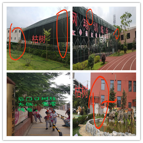 【校园简讯】营造校园安全氛围 创造温馨学习环境——五华外小校园安全隐患大排查活动 【校园简讯】营造校园安全氛围 创造温馨学习环境——五华外小校园安全隐患大排查活动