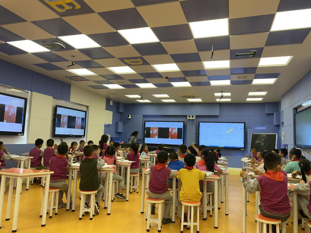 【生命·实践】新基础 “心”起点——新学期新教师“新基础课堂”观摩学习与分享 【生命·实践】新基础 “心”起点——新学期新教师“新基础课堂”观摩学习与分享