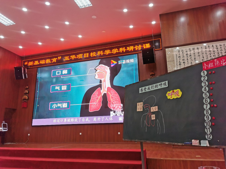 【生命·实践】体验科学探究 让“新基础”课堂焕发活力 【生命·实践】体验科学探究 让“新基础”课堂焕发活力