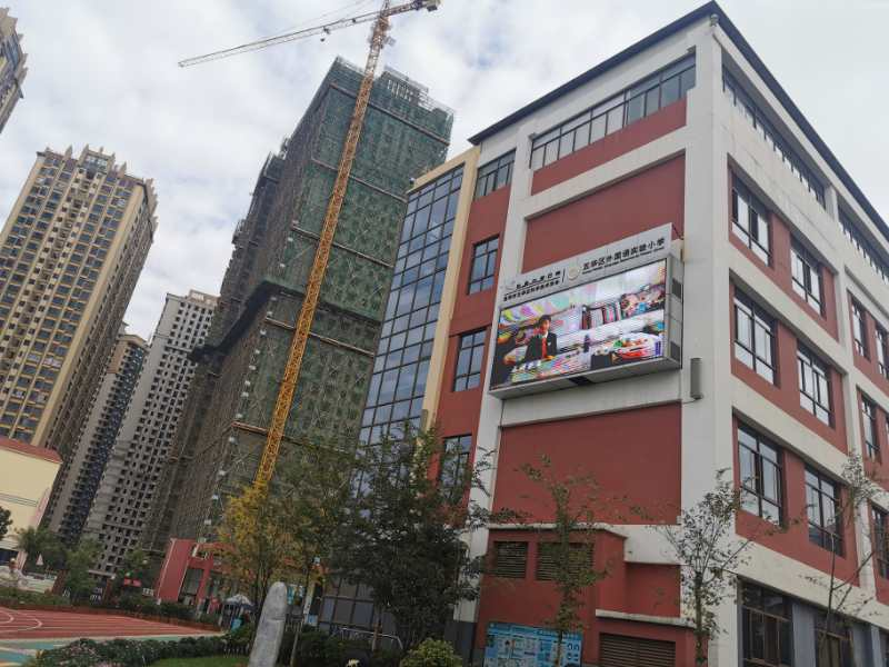 【爱国卫生运动】践行垃圾分类 做新时代好队员 【爱国卫生运动】践行垃圾分类 做新时代好队员