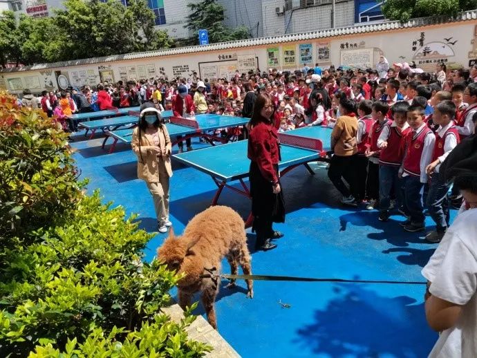 基层科普 | 五华区基层科协组织开展生物多样性及“珍惜地球资源,转变发展方式”主题活动 基层科普 | 五华区基层科协组织开展生物多样性及“珍惜地球资源,转变发展方式”主题活动