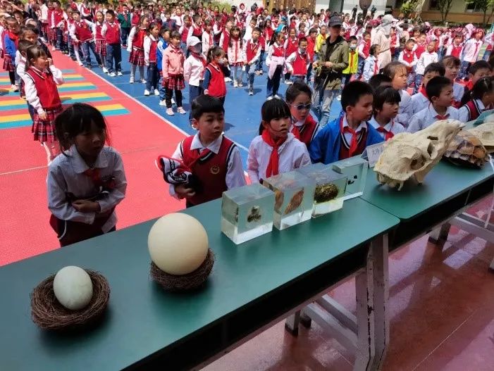 基层科普 | 五华区基层科协组织开展生物多样性及“珍惜地球资源,转变发展方式”主题活动 基层科普 | 五华区基层科协组织开展生物多样性及“珍惜地球资源,转变发展方式”主题活动