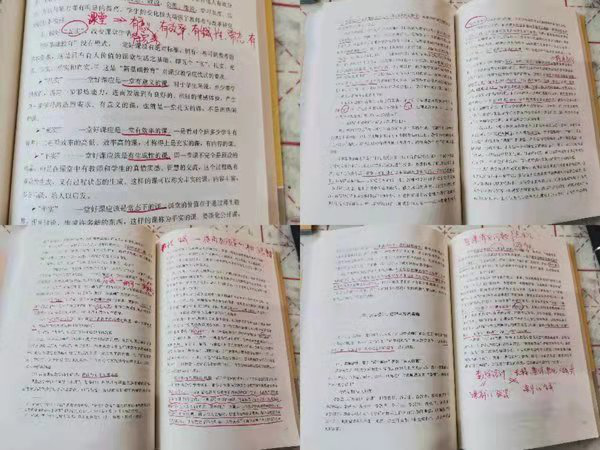 【教研简讯】学习《“新基础教育”研究手册》 综合学科每日一读活动