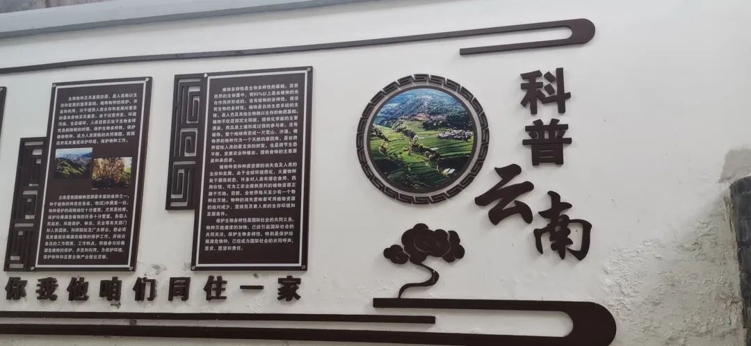 五华区项目化推进基层科普惠民 五华区项目化推进基层科普惠民