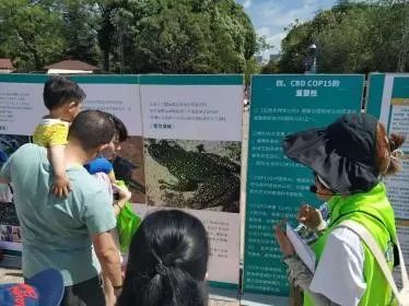 五华区开展2021年“国际生物多样性日”主题宣传活动 五华区开展2021年“国际生物多样性日”主题宣传活动