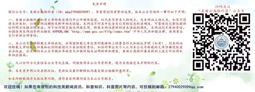 【热资讯】致敬！科技工作者的“时代楷模”