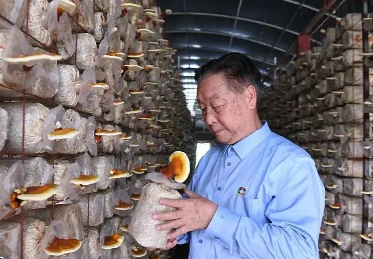 【弘扬科学家精神】《山海情》原型林占熺：小小一株草 演绎山海情