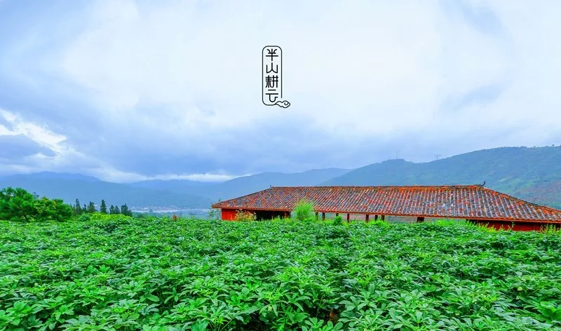 生命实践 主动健康
