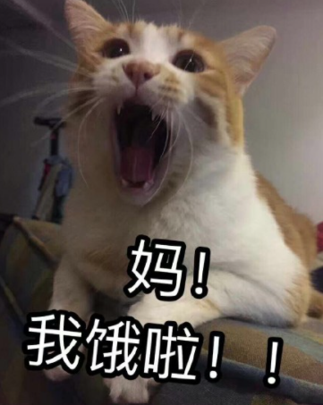 【亲子教育】妈妈和儿子签下“不要喊妈”条约！暑假如何与孩子和平相处，这些建议请家长收藏