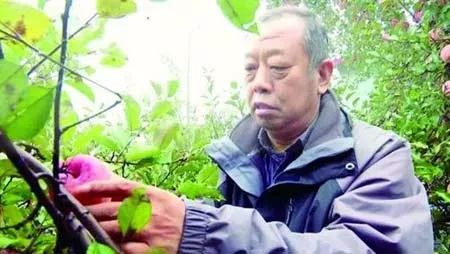 【热资讯】致敬！科技工作者的“时代楷模”