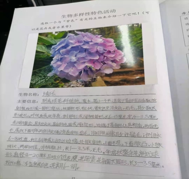 “你好，暑假”——五华区外国语实验小学暑假实践活动成果展示
