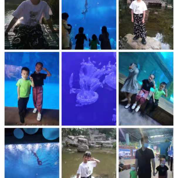 五华外小开展“多样生物 共庆中秋”假期玩伴团实践系列活动