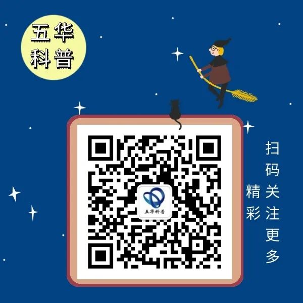 五华区青少年自制科普小视频网上投票评比活动