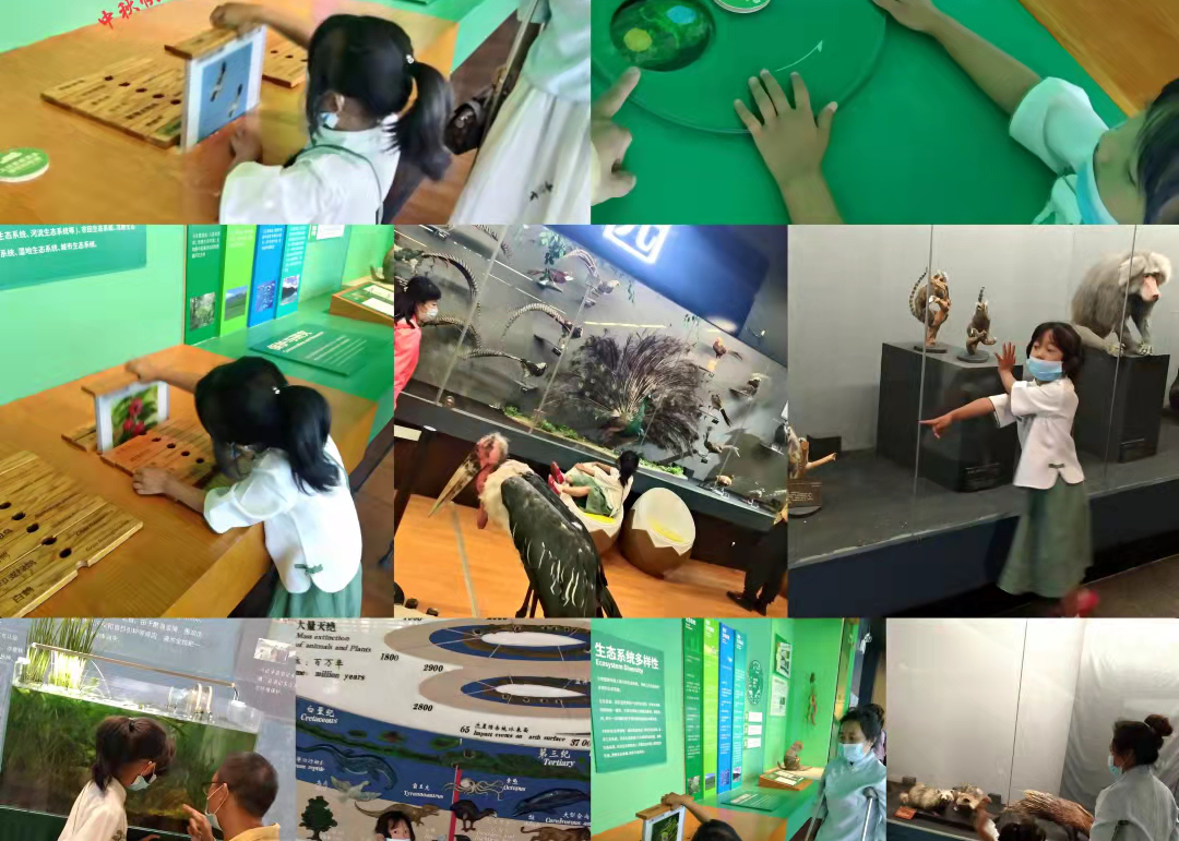 五华外小开展“多样生物 共庆中秋”假期玩伴团实践系列活动 五华外小开展“多样生物 共庆中秋”假期玩伴团实践系列活动