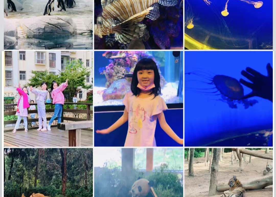 五华外小开展“多样生物 共庆中秋”假期玩伴团实践系列活动 五华外小开展“多样生物 共庆中秋”假期玩伴团实践系列活动