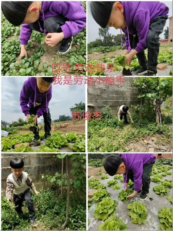 【校园简讯】伙伴手拉手 一起共劳动——“五一劳动节玩伴团”活动 【校园简讯】伙伴手拉手 一起共劳动——“五一劳动节玩伴团”活动