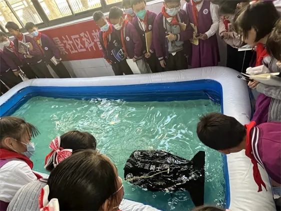 基层科普动态 | 普吉街道科协西景社区携手705所昆明分部开展“强国有我,科普进校园”实践活动 基层科普动态 | 普吉街道科协西景社区携手705所昆明分部开展“强国有我,科普进校园”实践活动