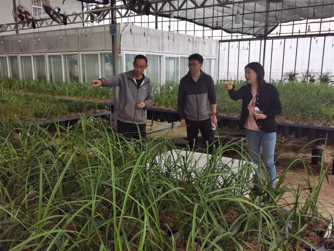 五华区全面实施农民科学素质行动助力农技协发展 五华区全面实施农民科学素质行动助力农技协发展