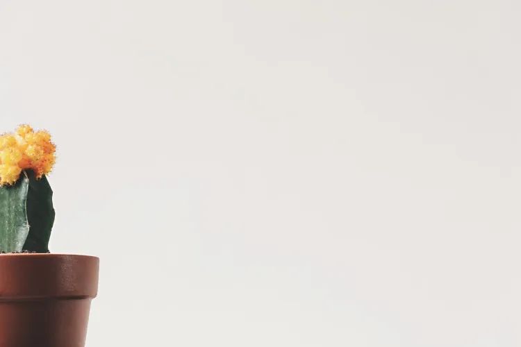 【亲子教育】给家长的七个锦囊：居家学习期间，如何有效支持孩子成长