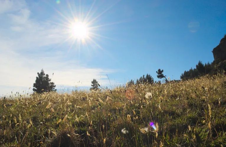 【亲子教育】给家长的七个锦囊：居家学习期间，如何有效支持孩子成长