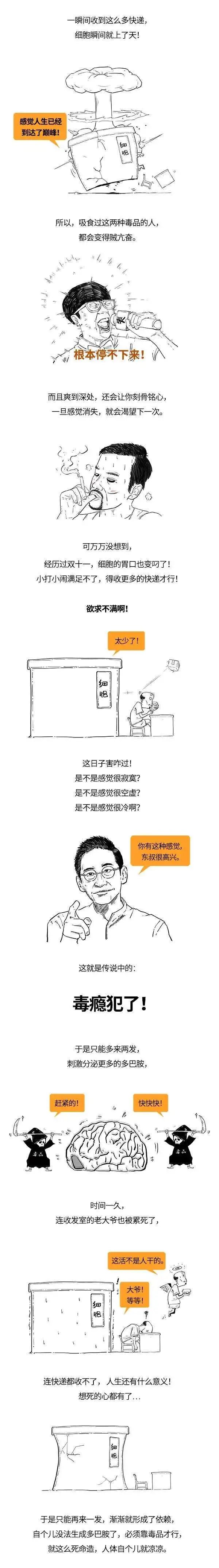 【青少年法治大讲堂】禁毒专题