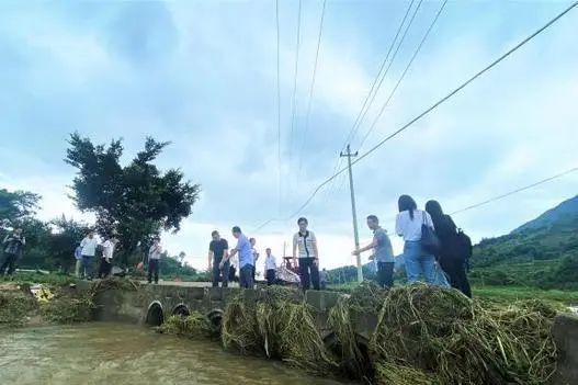 追记“时代楷模”孙丽美:倾情投身乡村振兴一线 追记“时代楷模”孙丽美:倾情投身乡村振兴一线