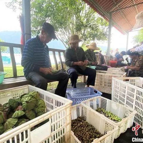 追记“时代楷模”孙丽美:倾情投身乡村振兴一线 追记“时代楷模”孙丽美:倾情投身乡村振兴一线