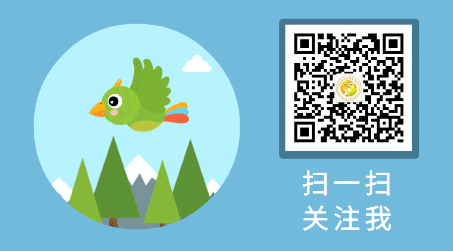 【校园简讯】浓浓粽叶香 悠悠端午情 【校园简讯】浓浓粽叶香 悠悠端午情